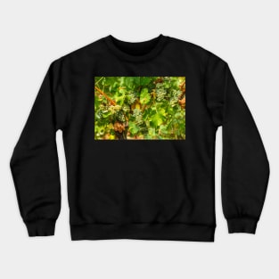 Ripening grapes on the vine Crewneck Sweatshirt